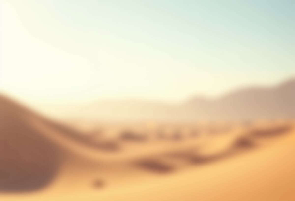 casas adobes residential yard cleanup services in tucson az