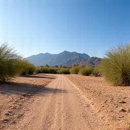 Cleaned up desert landscape after cactus removal. Professional residential lot clearing, efficient debris hauling, enhanced property curb appeal.