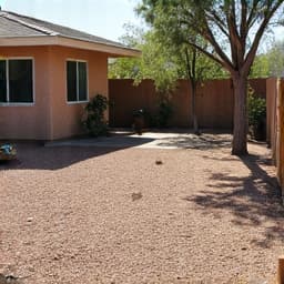 Desert landscaping front yard before overhaul with old gravel and sparse plants in Tucson