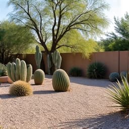 Restoration of an overgrown desert landscape in Tucson, highlighting brush clearing and plant trimming services