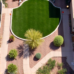 profile