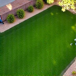 Sod Installation